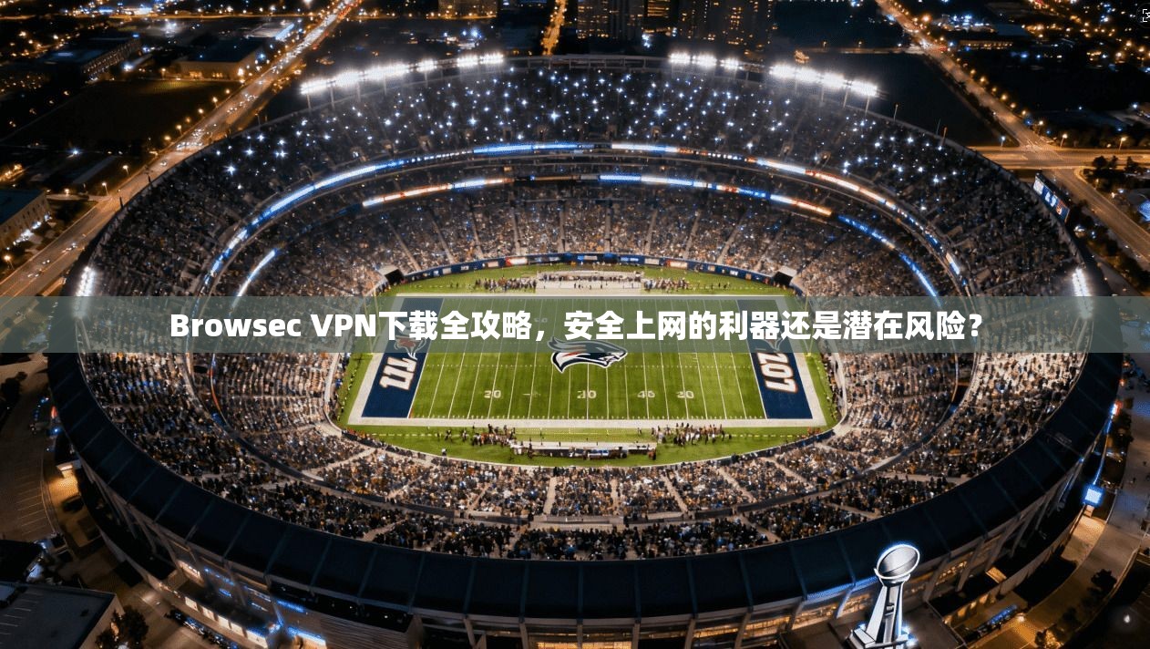 Browsec VPN下载全攻略，安全上网的利器还是潜在风险？  第1张