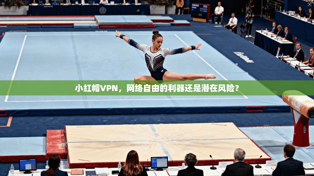 小红帽VPN，网络自由的利器还是潜在风险？  第1张
