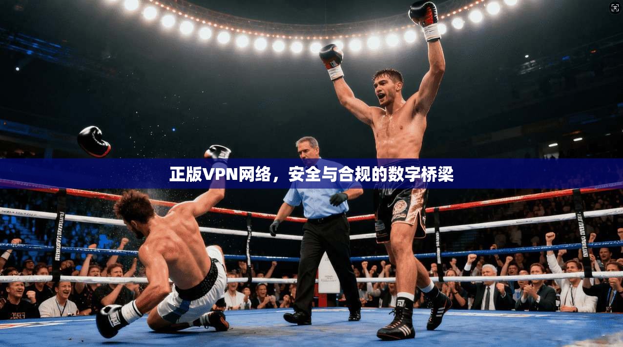 正版VPN网络，安全与合规的数字桥梁  第1张