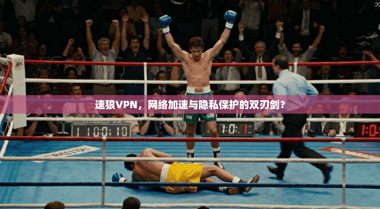 速狼VPN，网络加速与隐私保护的双刃剑？  第1张