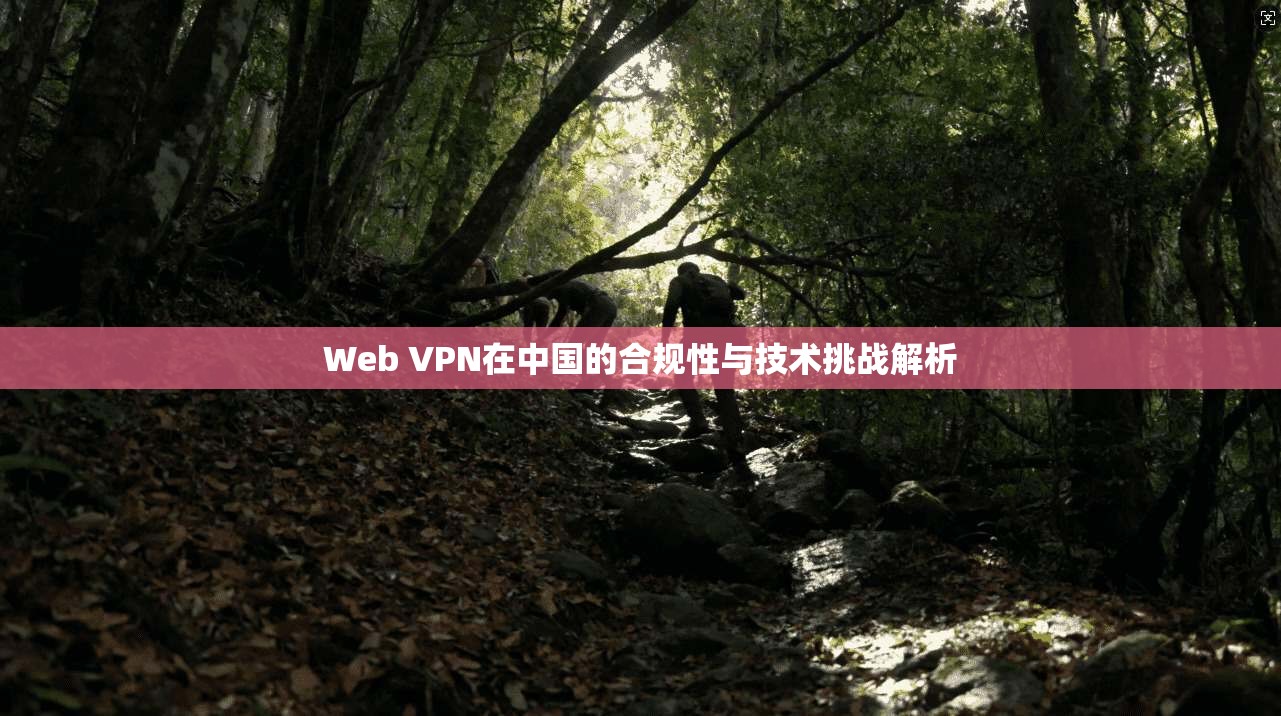 Web VPN在中国的合规性与技术挑战解析  第1张