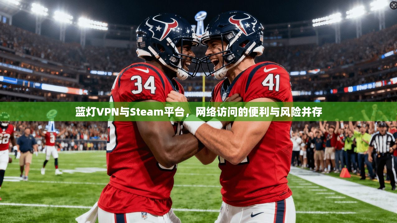 蓝灯VPN与Steam平台，网络访问的便利与风险并存  第1张