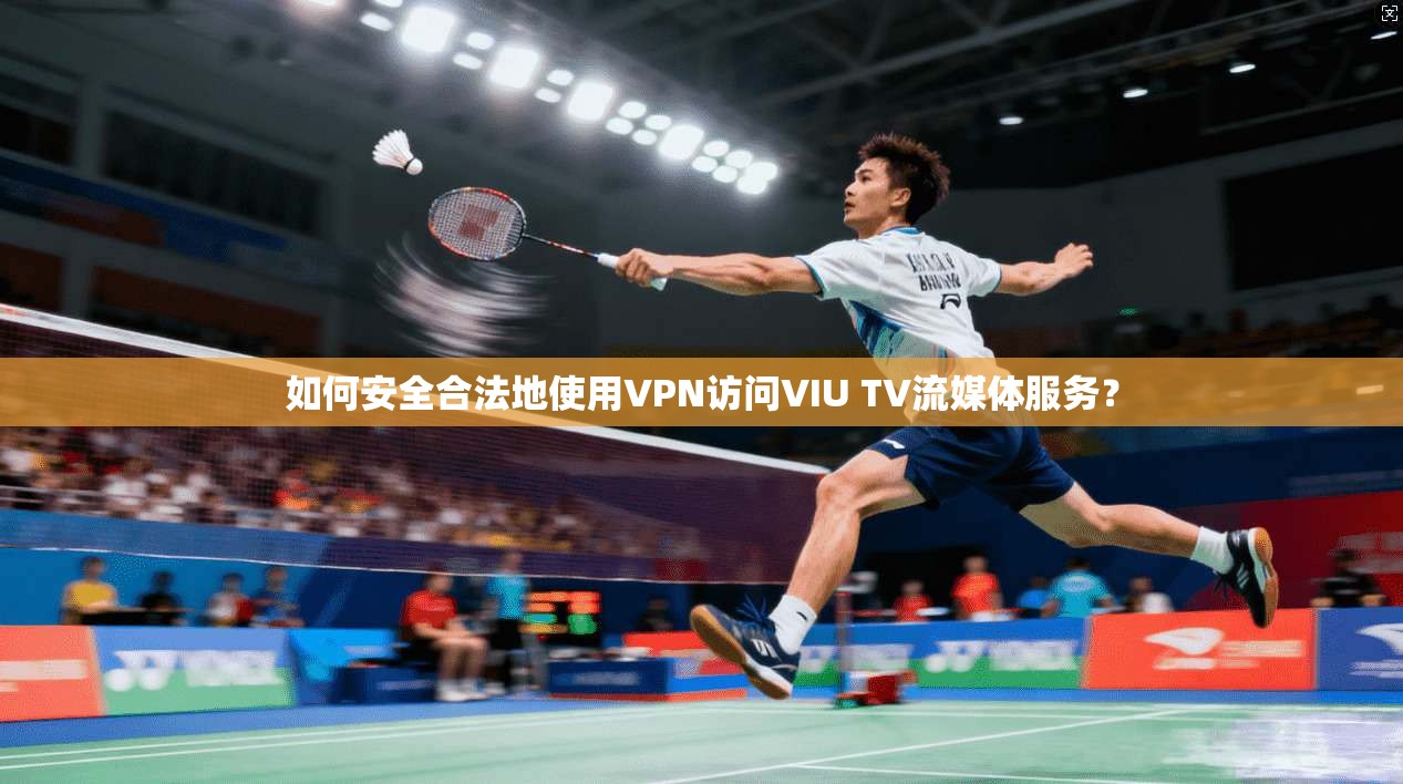 如何安全合法地使用VPN访问VIU TV流媒体服务？  第1张