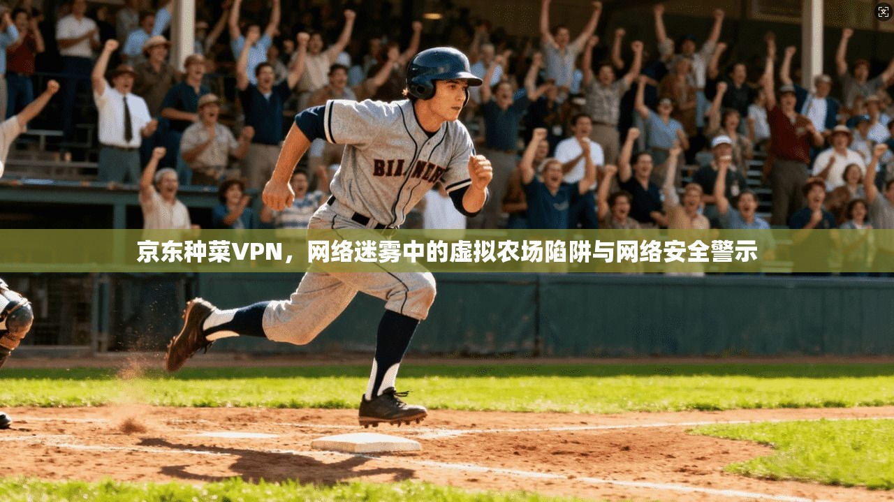 京东种菜VPN，网络迷雾中的虚拟农场陷阱与网络安全警示  第1张