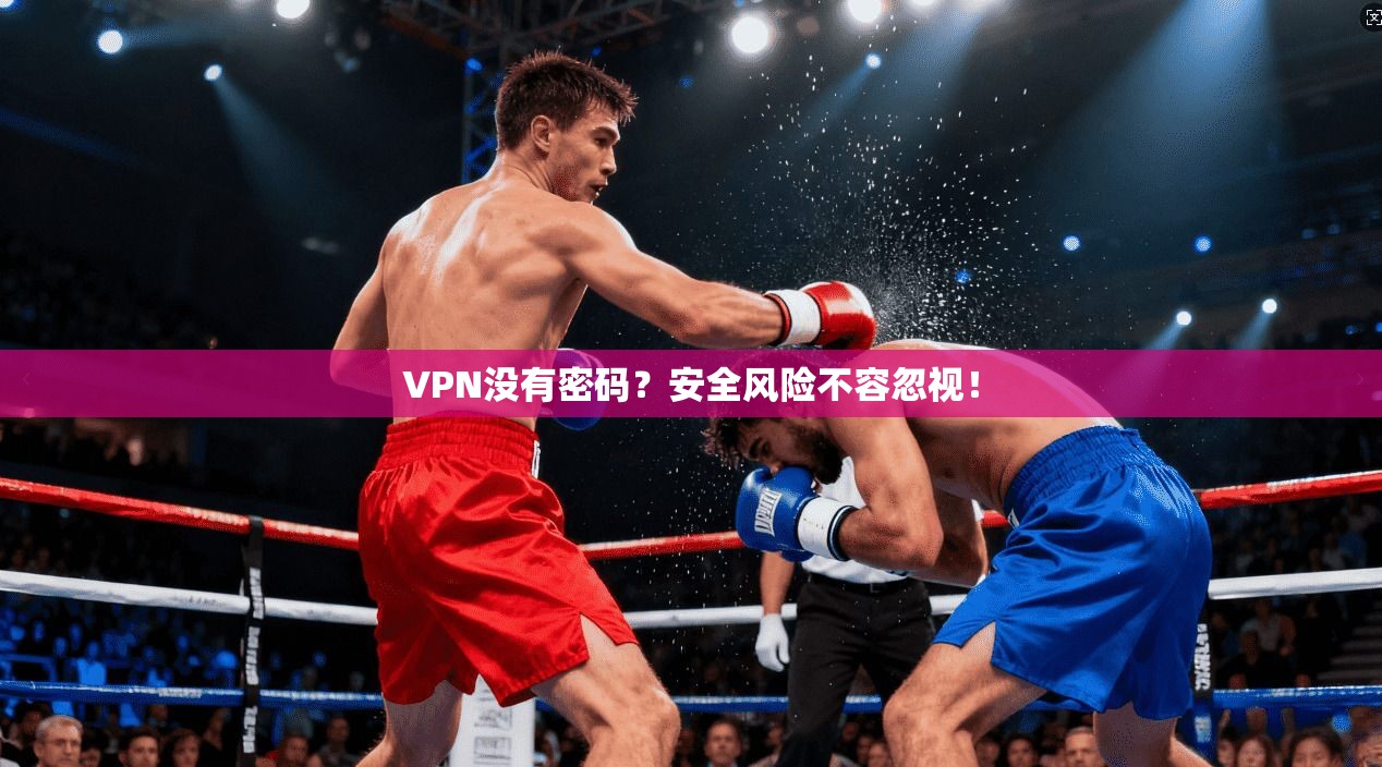 VPN没有密码？安全风险不容忽视！  第1张