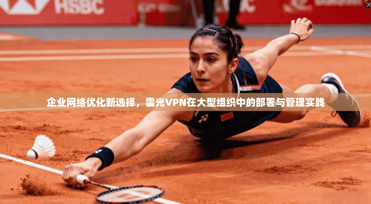 企业网络优化新选择，雷光VPN在大型组织中的部署与管理实践  第1张
