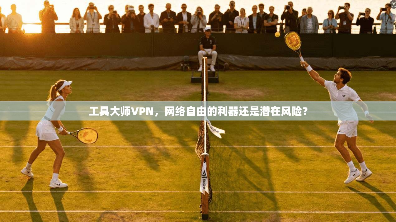 工具大师VPN，网络自由的利器还是潜在风险？  第1张