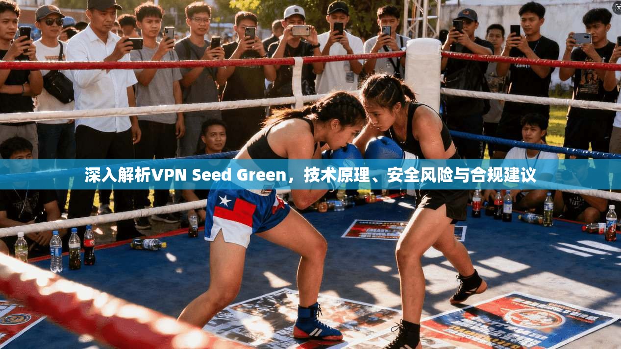 深入解析VPN Seed Green，技术原理、安全风险与合规建议  第1张