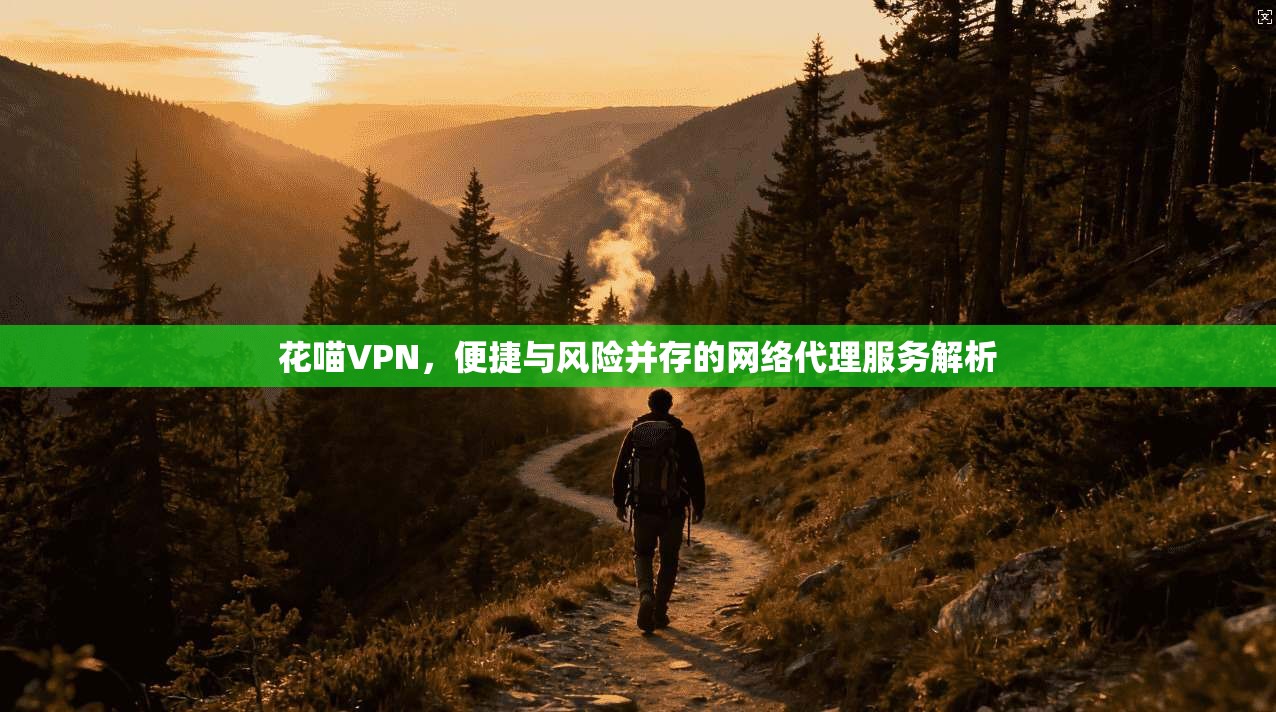 花喵VPN，便捷与风险并存的网络代理服务解析  第1张