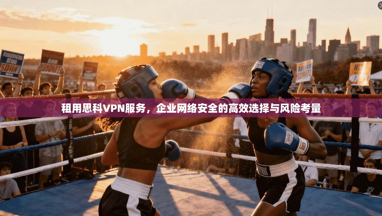 租用思科VPN服务，企业网络安全的高效选择与风险考量  第1张