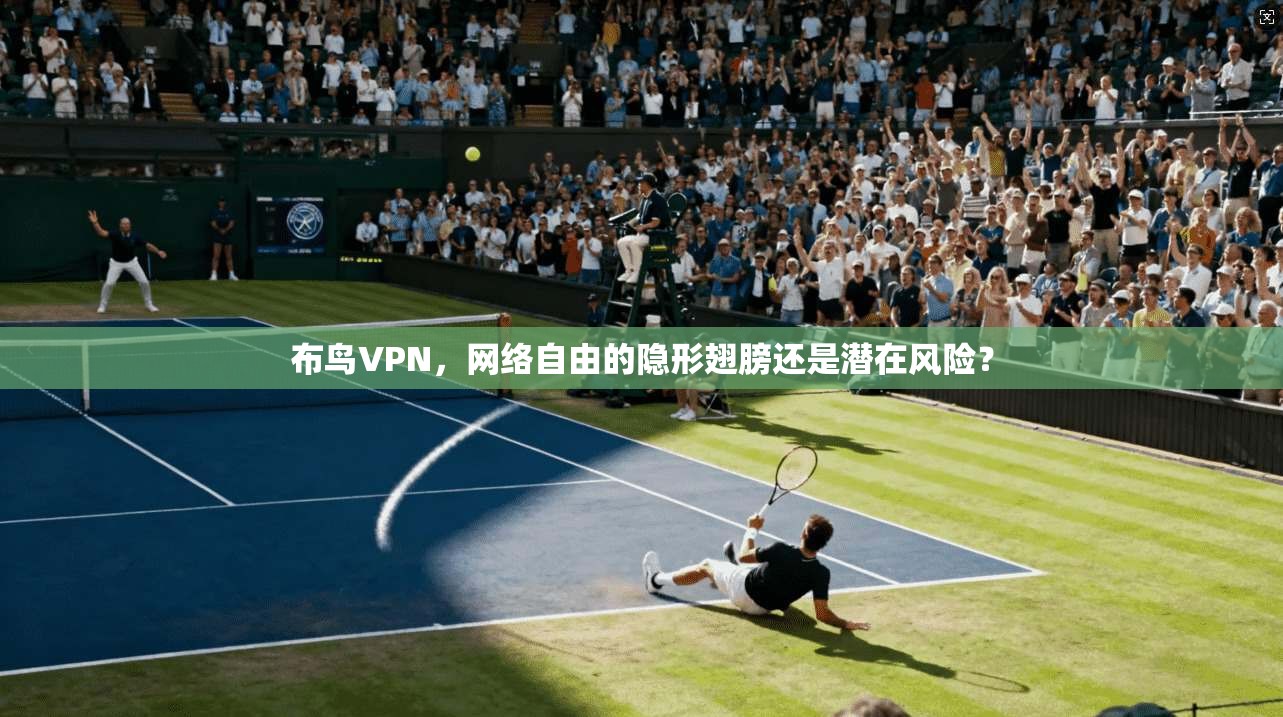 布鸟VPN，网络自由的隐形翅膀还是潜在风险？  第1张