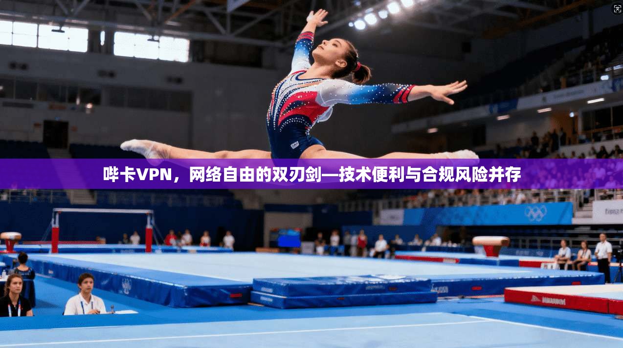 哔卡VPN，网络自由的双刃剑—技术便利与合规风险并存  第1张
