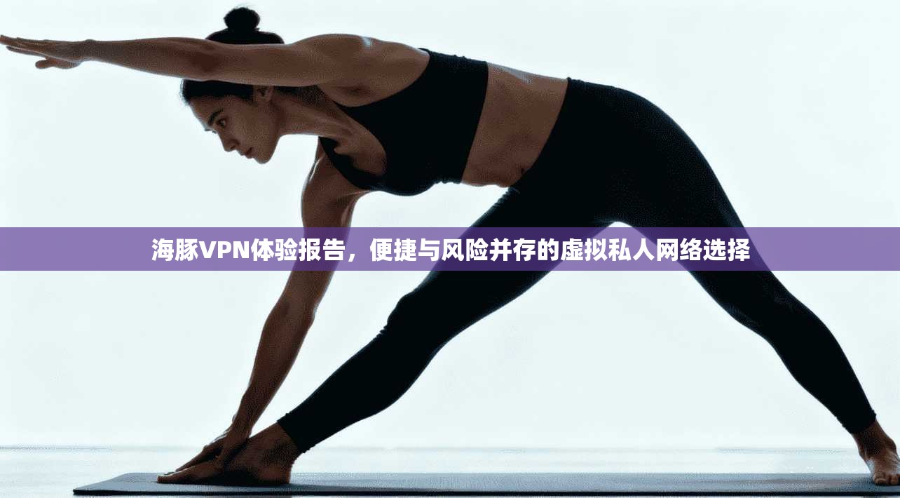 海豚VPN体验报告，便捷与风险并存的虚拟私人网络选择  第1张