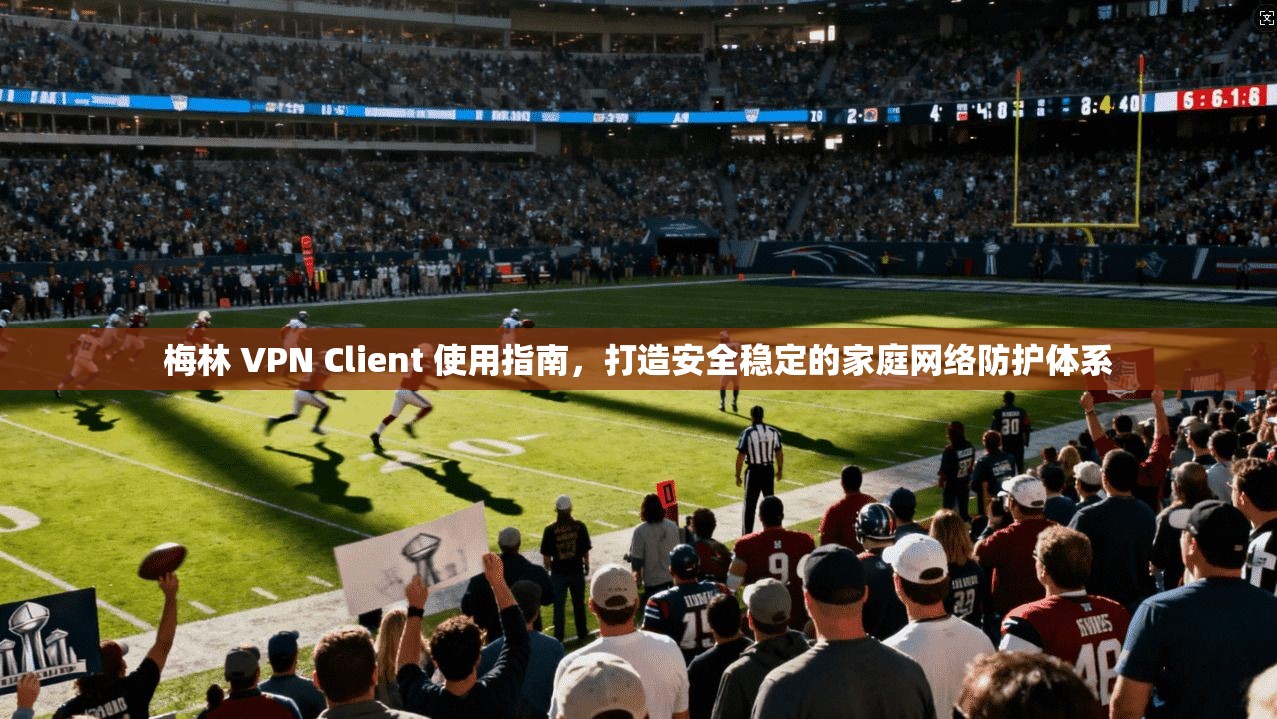 梅林 VPN Client 使用指南，打造安全稳定的家庭网络防护体系  第1张