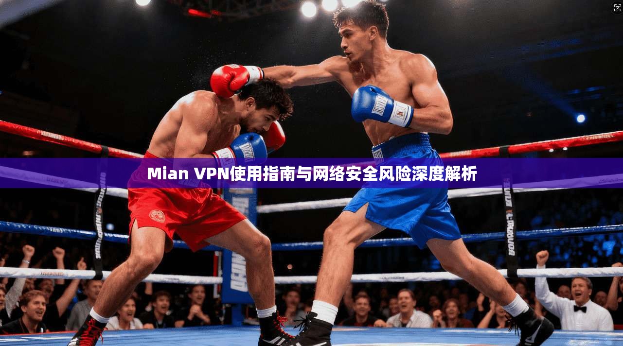 Mian VPN使用指南与网络安全风险深度解析  第1张