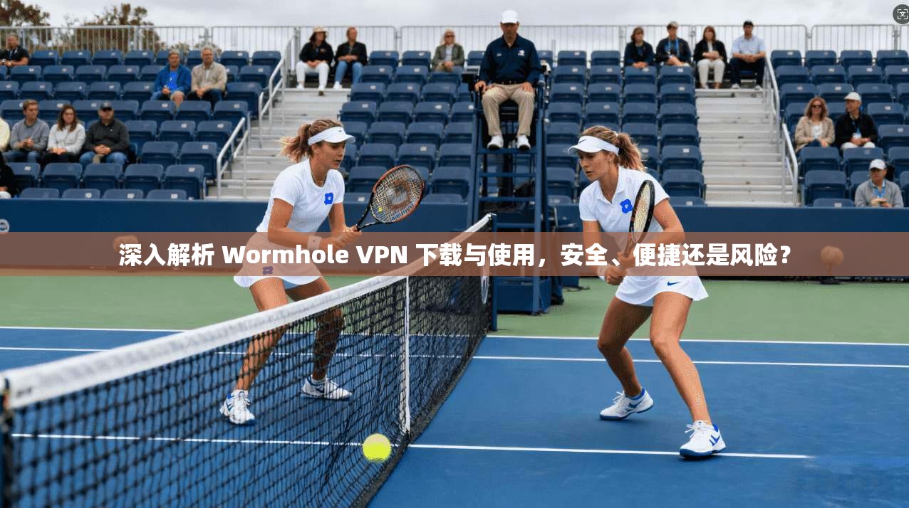 深入解析 Wormhole VPN 下载与使用，安全、便捷还是风险？  第1张