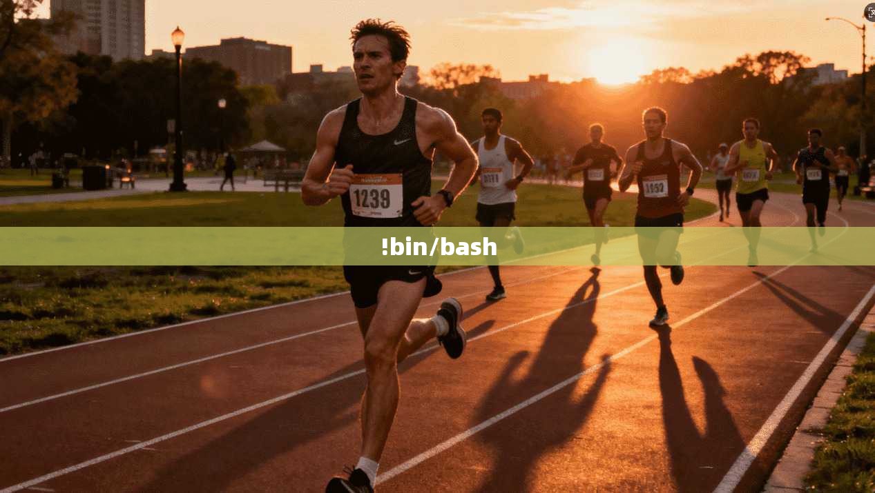 !bin/bash  第1张