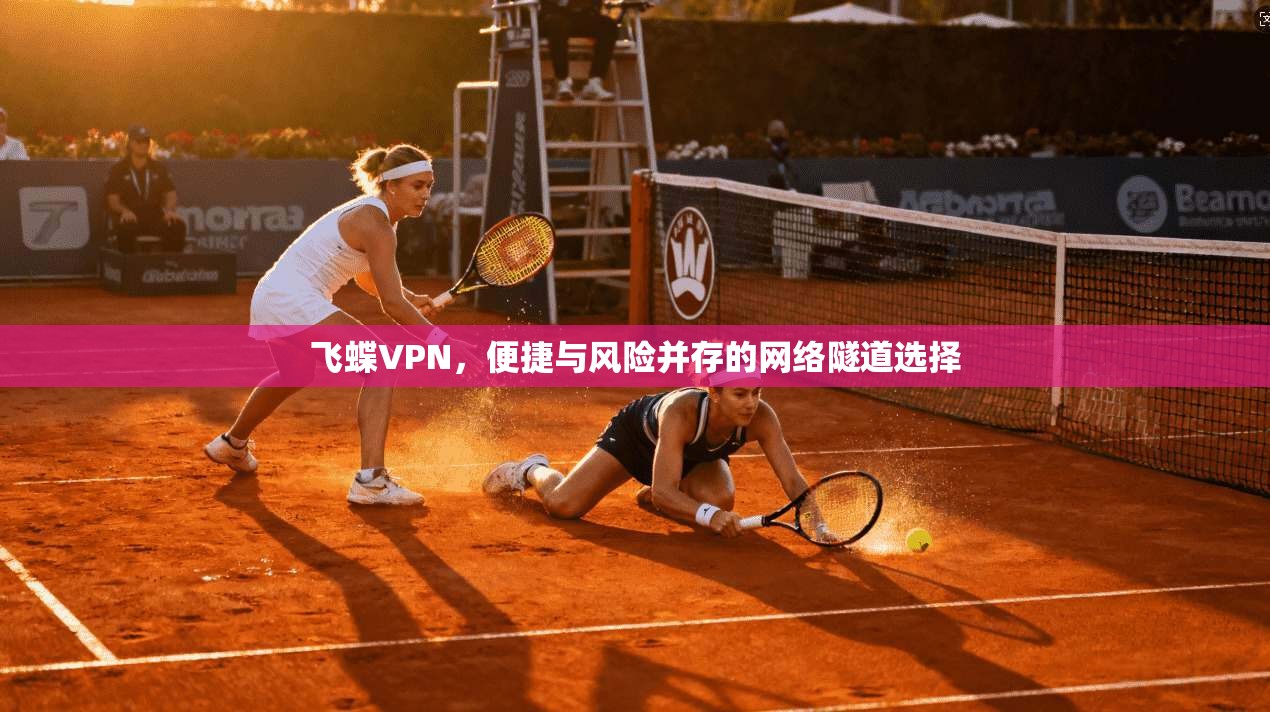 飞蝶VPN，便捷与风险并存的网络隧道选择  第1张