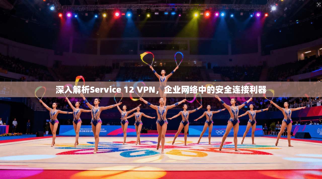 深入解析Service 12 VPN，企业网络中的安全连接利器  第1张