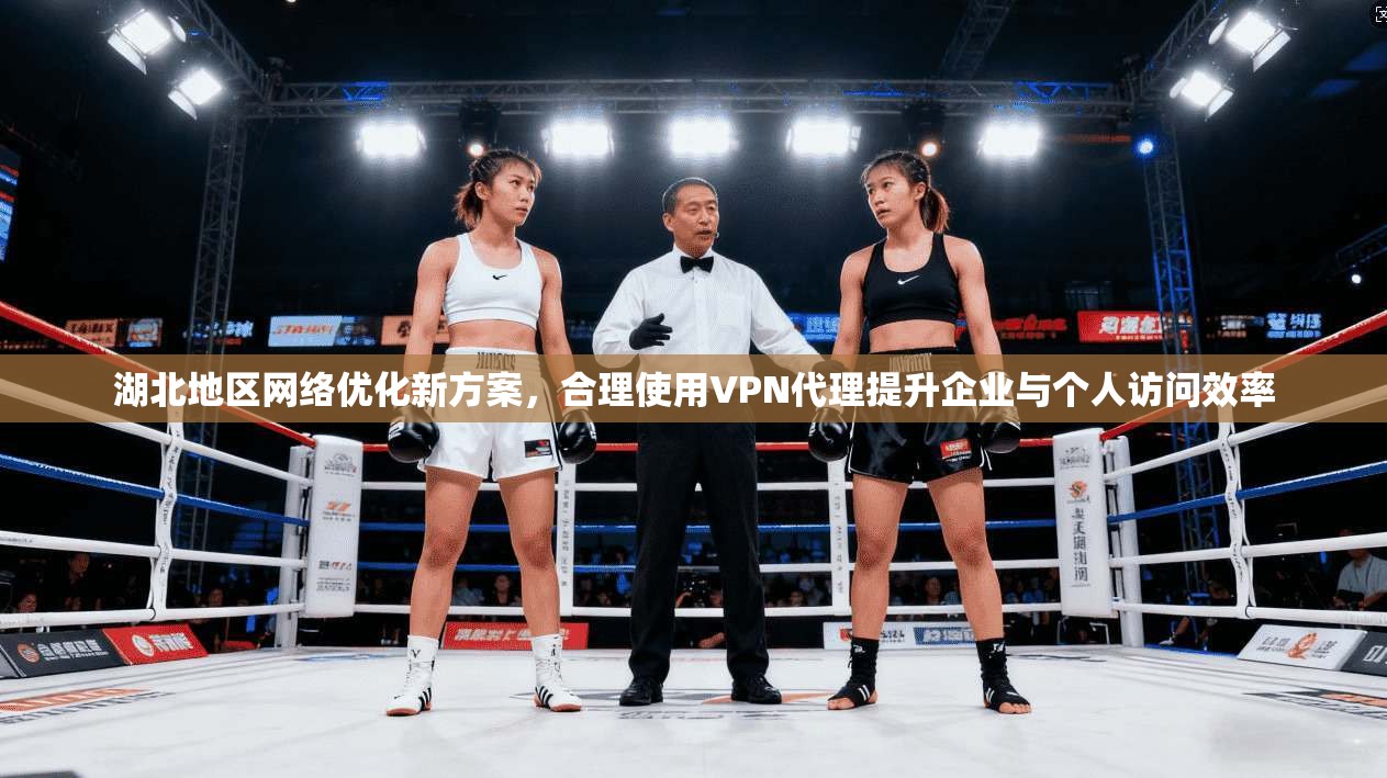 湖北地区网络优化新方案，合理使用VPN代理提升企业与个人访问效率  第1张