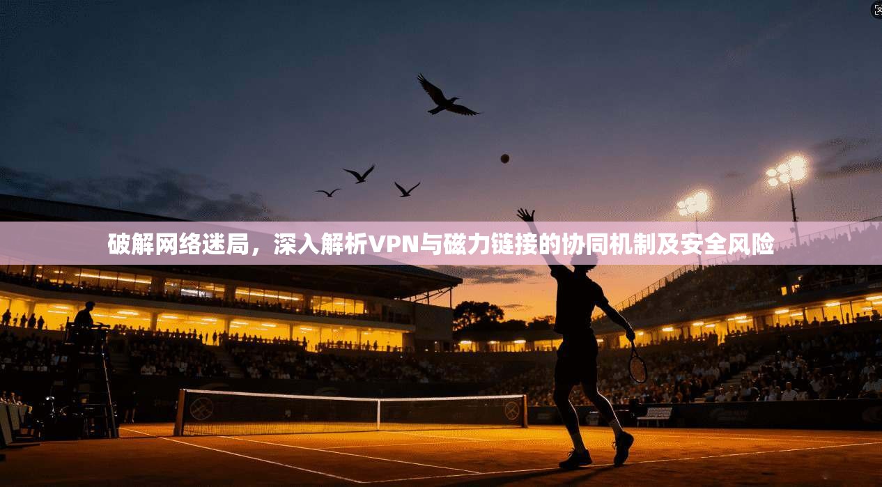 破解网络迷局，深入解析VPN与磁力链接的协同机制及安全风险  第1张
