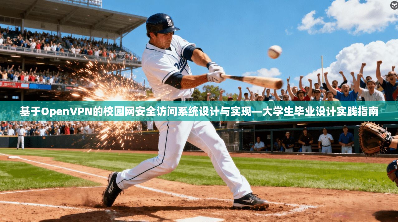 基于OpenVPN的校园网安全访问系统设计与实现—大学生毕业设计实践指南  第1张