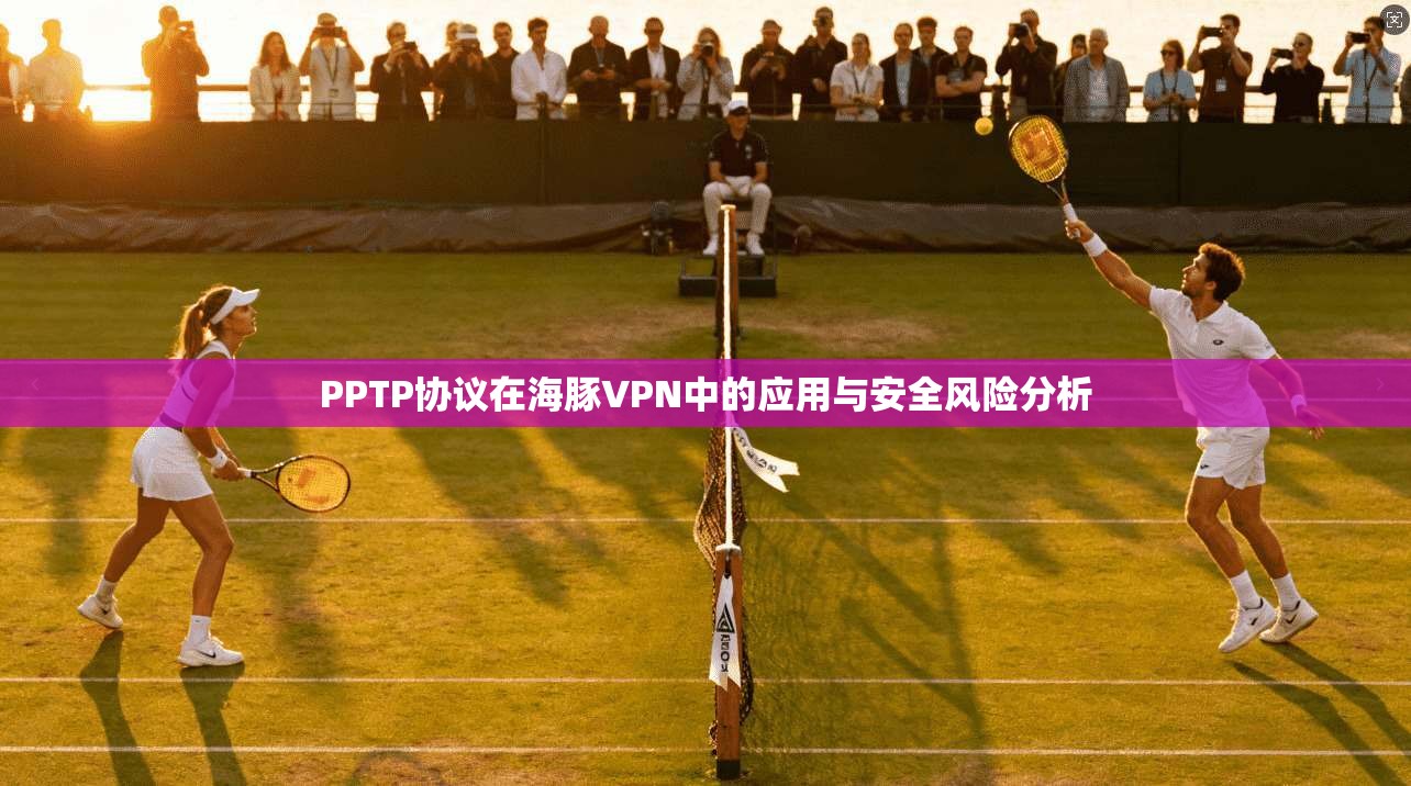 PPTP协议在海豚VPN中的应用与安全风险分析  第1张