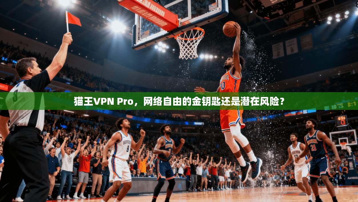 猫王VPN Pro，网络自由的金钥匙还是潜在风险？  第1张