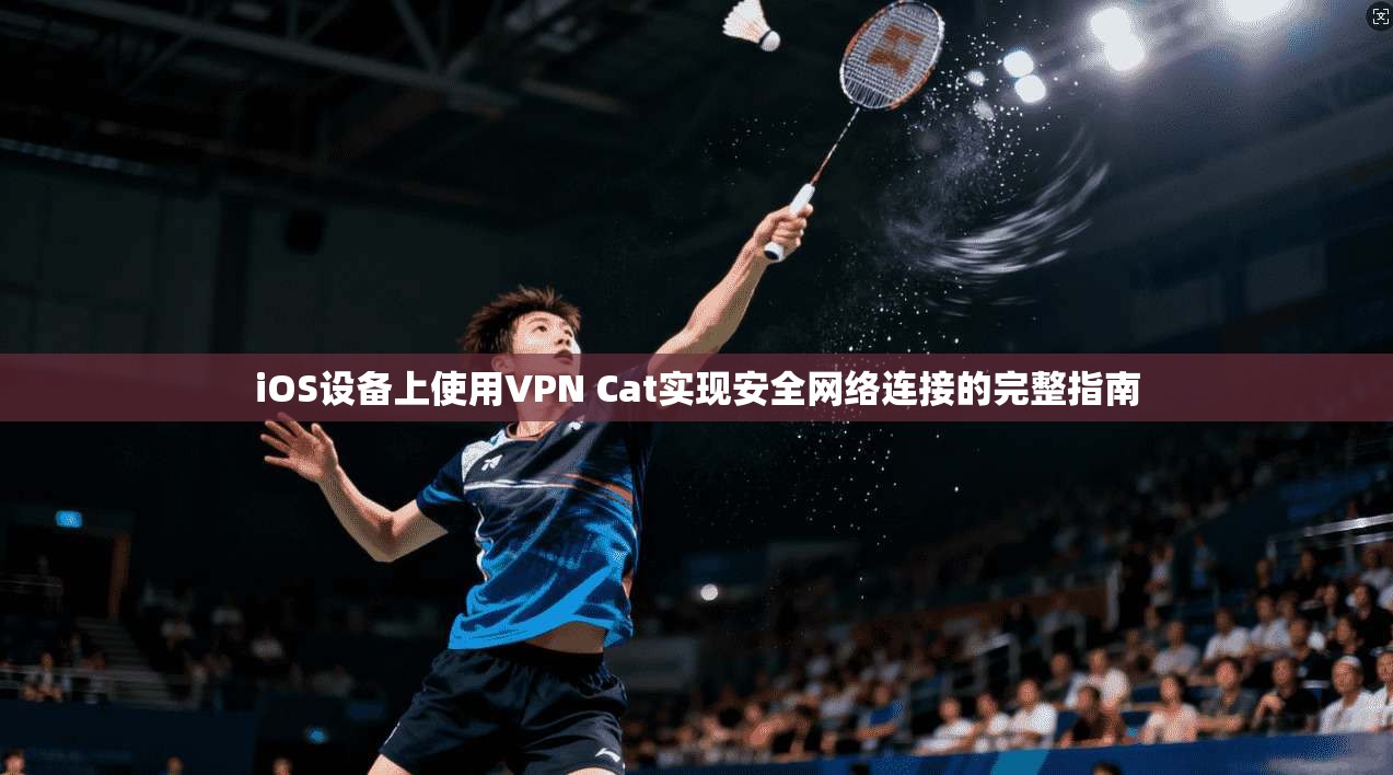 iOS设备上使用VPN Cat实现安全网络连接的完整指南  第1张
