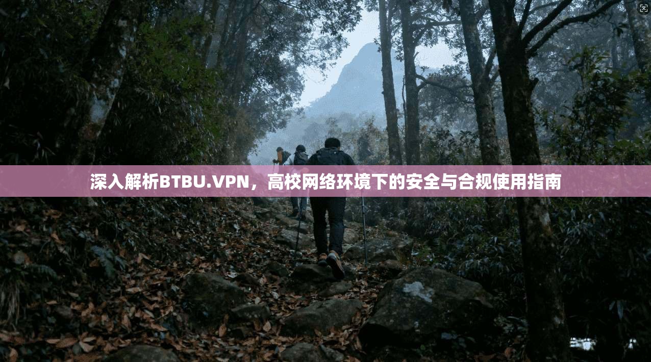 深入解析BTBU.VPN，高校网络环境下的安全与合规使用指南  第1张