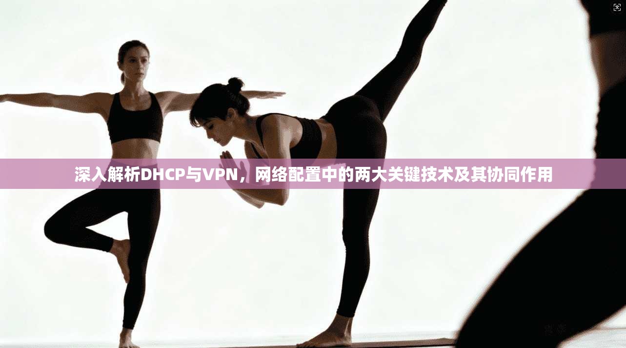 深入解析DHCP与VPN，网络配置中的两大关键技术及其协同作用  第1张