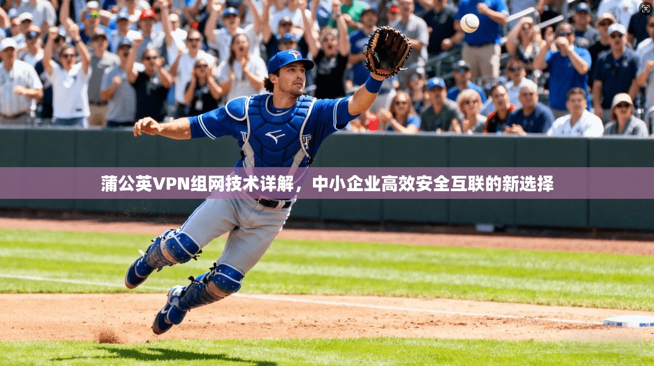 蒲公英VPN组网技术详解，中小企业高效安全互联的新选择  第1张