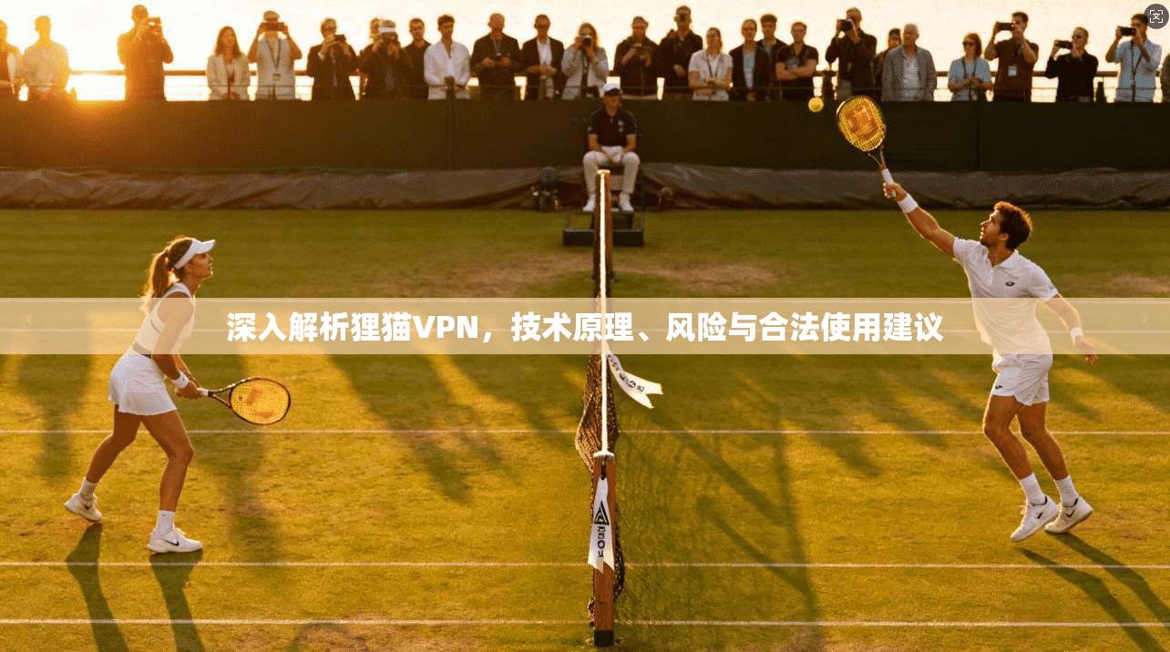 深入解析狸猫VPN，技术原理、风险与合法使用建议  第1张
