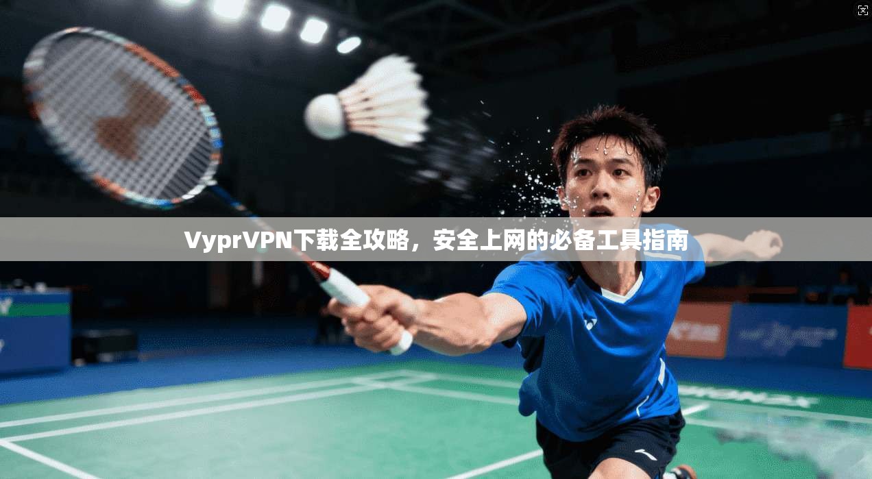 VyprVPN下载全攻略，安全上网的必备工具指南  第1张