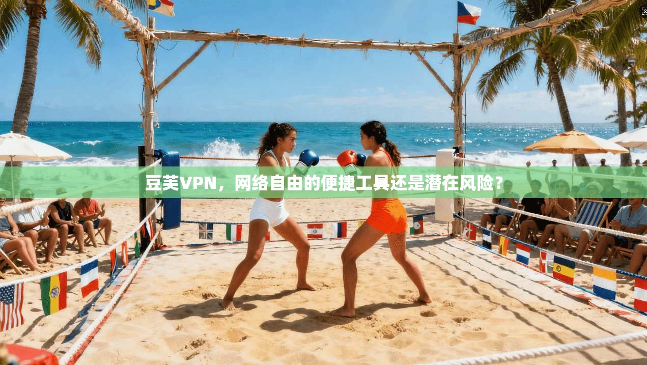 豆芙VPN，网络自由的便捷工具还是潜在风险？  第1张