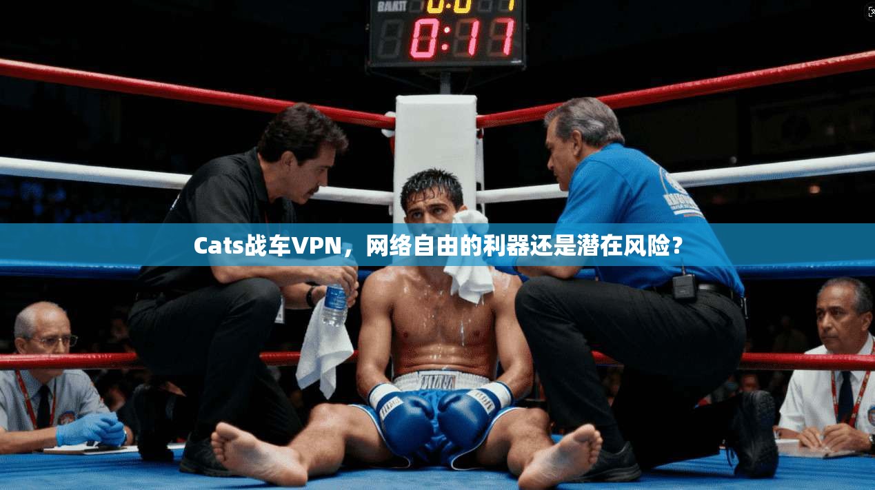 Cats战车VPN，网络自由的利器还是潜在风险？  第1张
