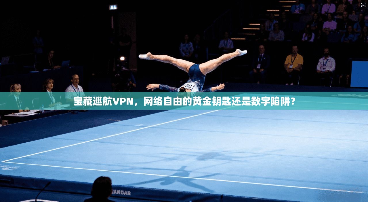 宝藏巡航VPN，网络自由的黄金钥匙还是数字陷阱？  第1张