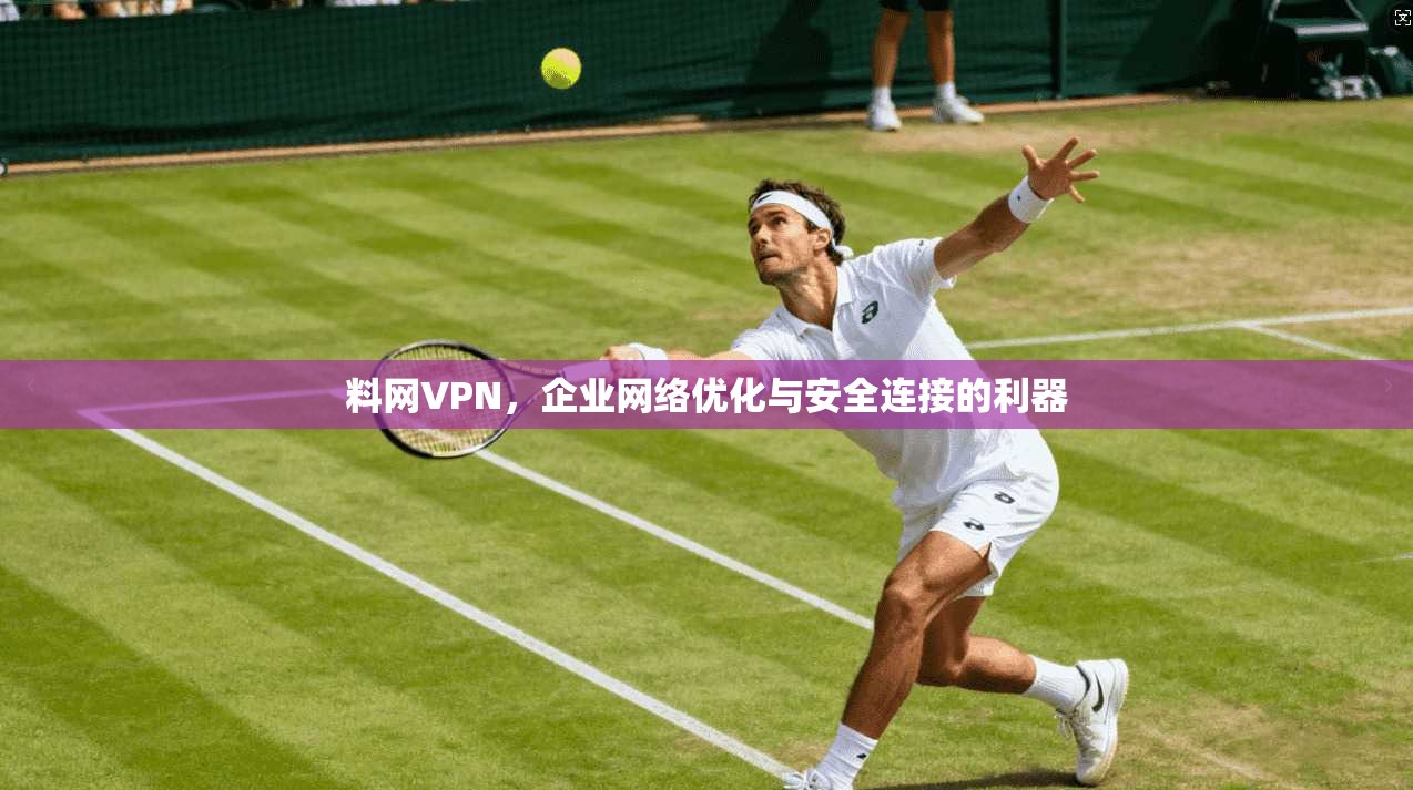 料网VPN，企业网络优化与安全连接的利器  第1张