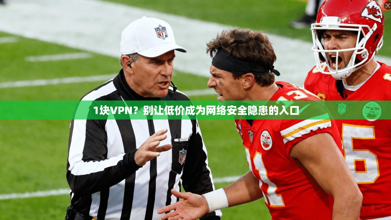 1块VPN？别让低价成为网络安全隐患的入口  第1张