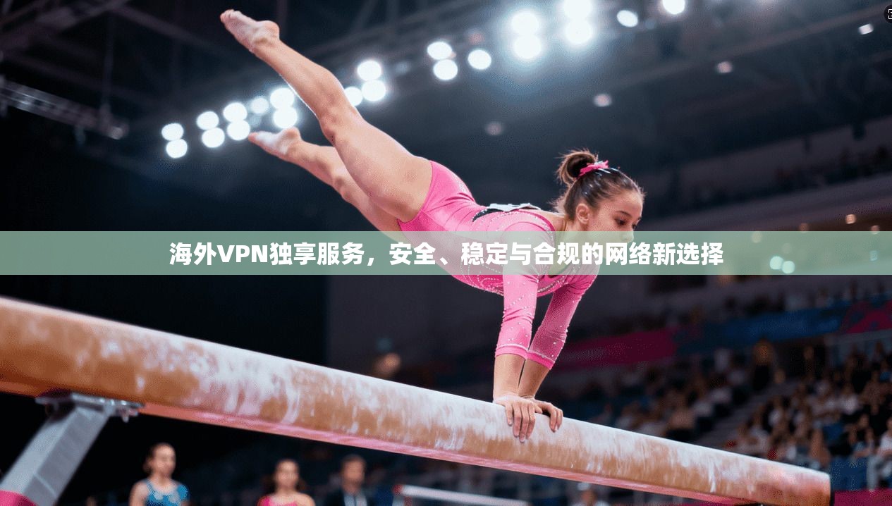 海外VPN独享服务，安全、稳定与合规的网络新选择  第1张