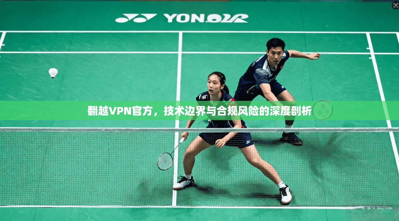 翻越VPN官方，技术边界与合规风险的深度剖析  第1张