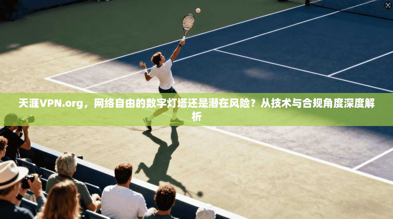天涯VPN.org，网络自由的数字灯塔还是潜在风险？从技术与合规角度深度解析  第1张