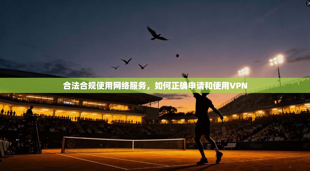 合法合规使用网络服务，如何正确申请和使用VPN  第1张