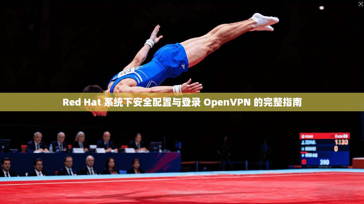 Red Hat 系统下安全配置与登录 OpenVPN 的完整指南  第1张