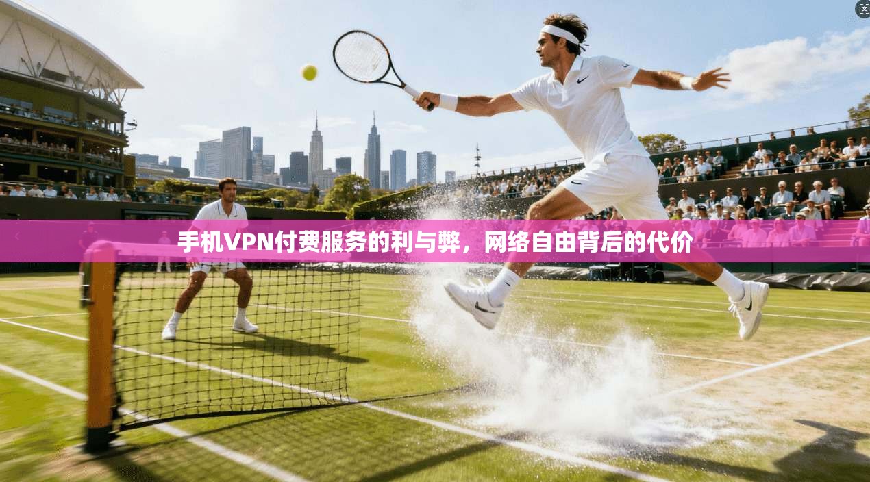 手机VPN付费服务的利与弊，网络自由背后的代价  第1张