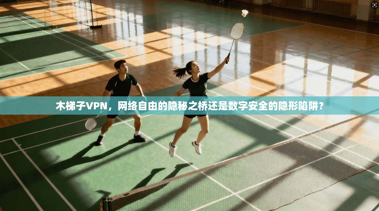 木梯子VPN，网络自由的隐秘之桥还是数字安全的隐形陷阱？  第1张