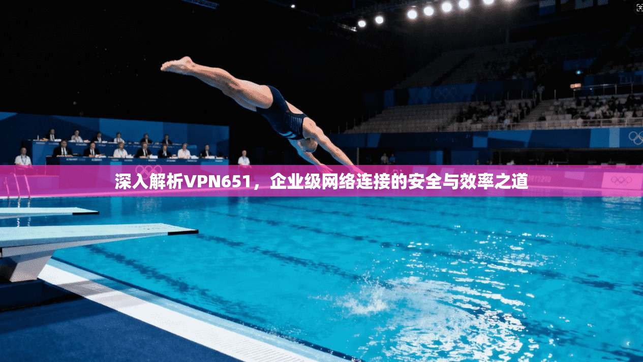 深入解析VPN651，企业级网络连接的安全与效率之道  第1张