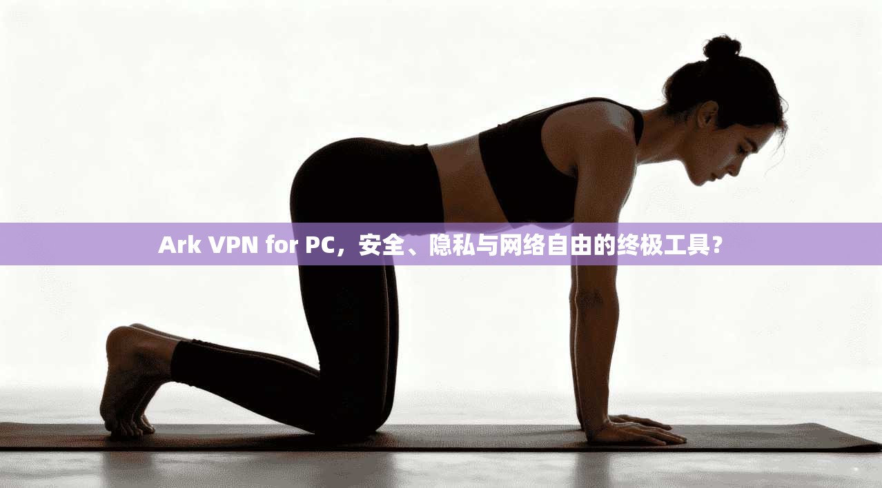 Ark VPN for PC，安全、隐私与网络自由的终极工具？  第1张
