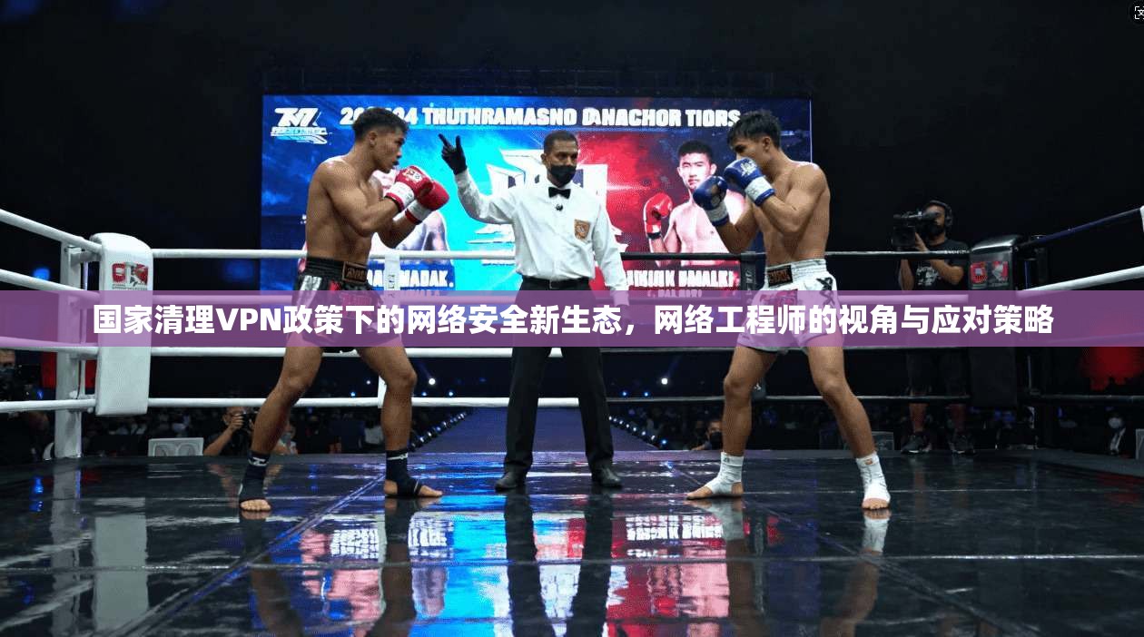 国家清理VPN政策下的网络安全新生态，网络工程师的视角与应对策略  第1张