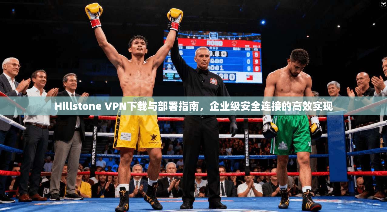 Hillstone VPN下载与部署指南，企业级安全连接的高效实现  第1张